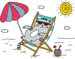 a summer kitty